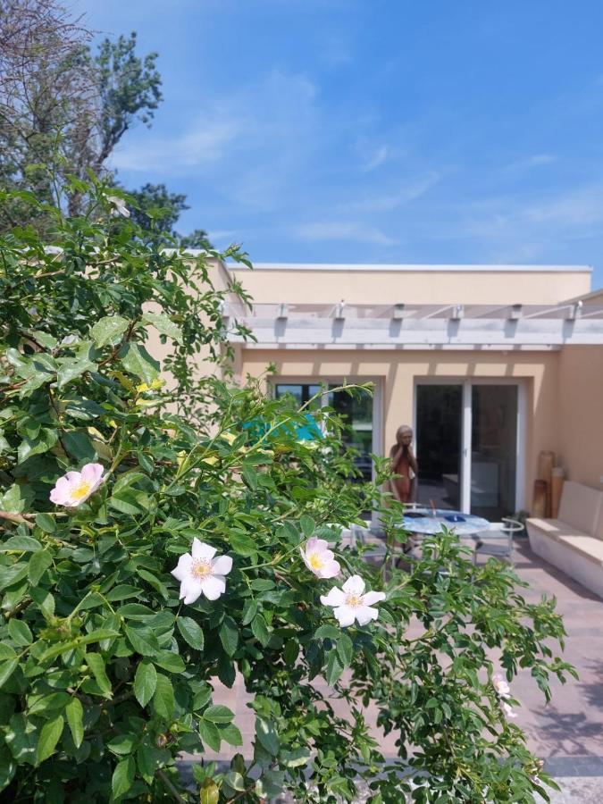 Pioppi Neri R&B Bed and Breakfast Felino Exteriör bild